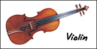 violin